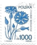 Sellos de Europa - Polonia -  flores