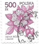 Stamps : Europe : Poland :  flores