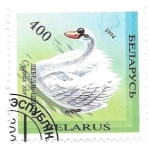 Stamps Belarus -  aves