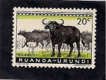 Stamps Rwanda -  Bufalos