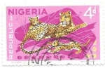Stamps : Africa : Nigeria :  leopardos