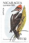 Stamps : America : Nicaragua :  aves