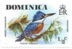 Stamps Dominica -  aves