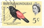 Stamps America - Belize -  aves