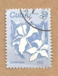 Stamps Cuba -  FLORA