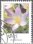 Stamps Germany -  Flores - El azafrán (Crocus).