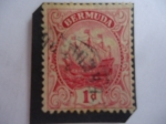 Stamps America - Bermuda -  Carabela Rosa Roja - 1 penique de las Bermudas - 1910