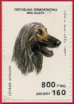 Stamps Africa - Madagascar -  Perros de raza - Lebrel Afgano