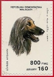 Stamps : Africa : Madagascar :  Perros de raza - Lebrel Afgano