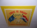 Stamps : America : Paraguay :  Homenaje a las Naciones Unidas - ONU-Organización de las Naciones Unidas- 15 Aniversario- Emblema - 