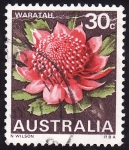 Stamps Oceania - Australia -  Waratah-(Vista desde lejos)