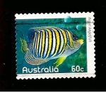 Sellos de Oceania - Australia -  CAMBIADO CR