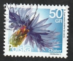 Sellos de Europa - Polonia -  4460 - Flor, Centaurea L.