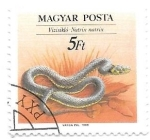 Stamps : Europe : Hungary :  serpiente