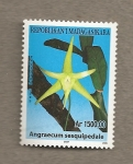 Stamps Madagascar -  Orquideas de Madagascar