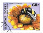 Stamps Hungary -  INSECTOS