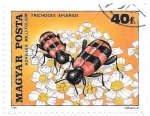 Stamps Hungary -  INSECTOS