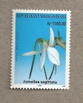 Stamps Africa - Madagascar -  Orquideas de Madagascar