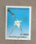 Stamps Africa - Madagascar -  Orquideas de Madagascar