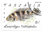 Sellos de Africa - Tanzania -  pez