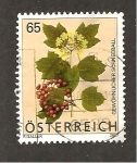 Stamps Austria -  FLORA