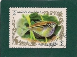Stamps United Arab Emirates -  Peces