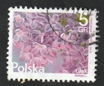 Stamps Poland -  4455 - Flor, Syringa L.