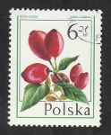 Sellos de Europa - Polonia -  2322 - Fruto, rosa canina