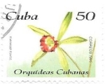 Stamps : America : Cuba :  orquídeas