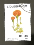 Stamps : Africa : S�o_Tom�_and_Pr�ncipe :  FLORA