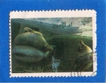 Stamps United Arab Emirates -  