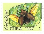 Stamps : America : Cuba :  coleópteros