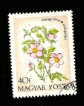 Stamps Hungary -  FLORA