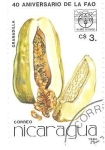 Stamps : America : Nicaragua :  frutas tropicales