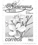 Sellos de America - Nicaragua -  orquídeas