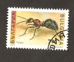 Stamps : Europe : Bulgaria :  INTERCAMBIO