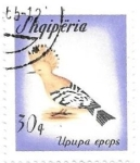 Sellos de Europa - Albania -  aves