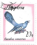 Stamps : Europe : Albania :  aves