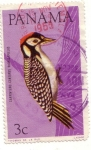 Stamps America - Panama -  Carpintero