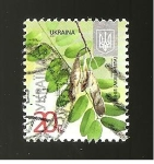Stamps Ukraine -  FLORA