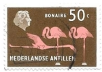Sellos de America - Antillas Neerlandesas -  aves