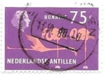 Stamps Netherlands Antilles -  aves