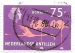 Sellos del Mundo : America : Netherlands_Antilles : aves