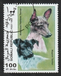 Stamps Somalia -  Perros de raza