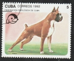 Sellos de America - Cuba -  3190 - Boxer, perro de raza