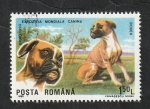 Stamps Romania -  3871 - Boxer, perro de raza