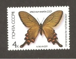 Stamps Russia -  FAUNA