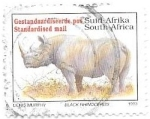 Stamps : Africa : South_Africa :  rinoceronte