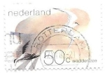 Sellos de Europa - Holanda -  aves