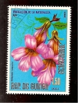 Sellos de Africa - Guinea Ecuatorial -  FLORA